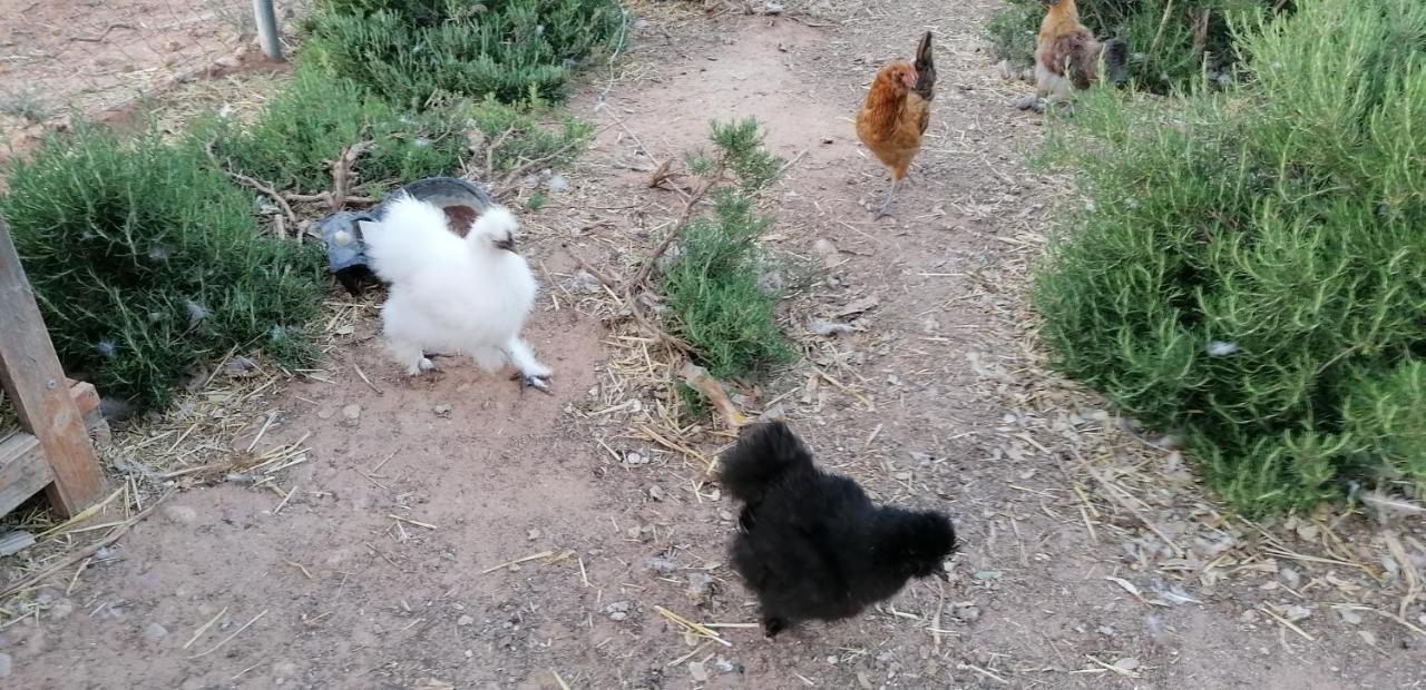 Casa Rural La Loma Nohales Dış mekan fotoğraf